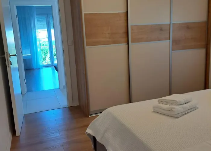 Family & Groups 扎达尔